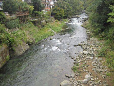 狩野川（狩野川漁業協同組合） 釣果