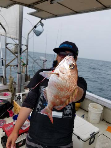 遊漁船 ニライカナイ 釣果