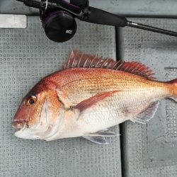 IDATEN（イダテン） 釣果