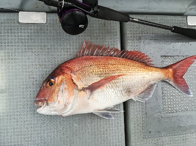 IDATEN（イダテン） 釣果