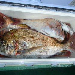 第二むつ漁丸 釣果