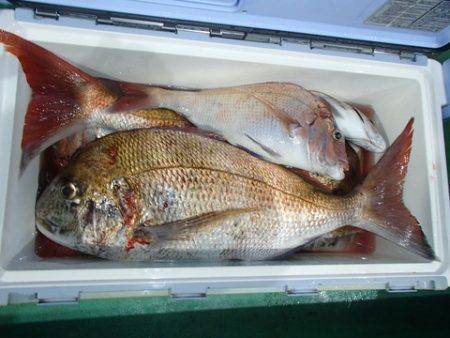 第二むつ漁丸 釣果