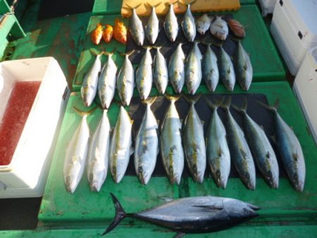 真祐丸 (しんゆうまる) 釣果