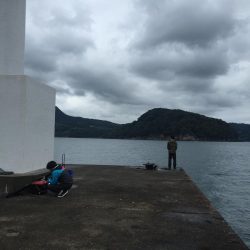 カゴ釣りin音海