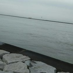 台風後のいい記憶は残念ながら