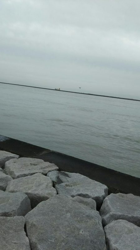 台風後のいい記憶は残念ながら