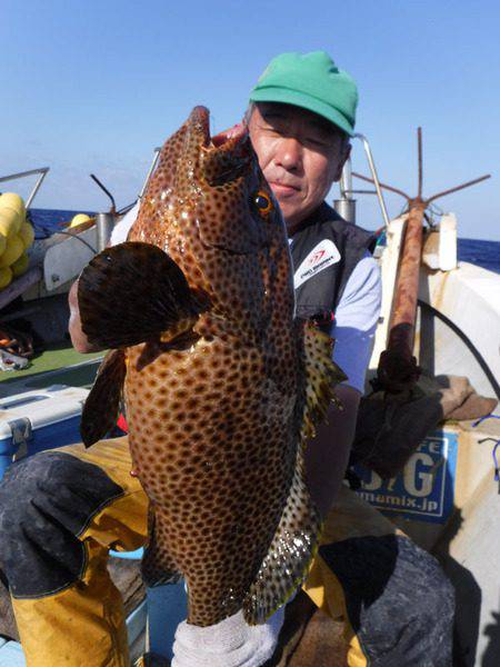 オーシャンパイオニア 釣果