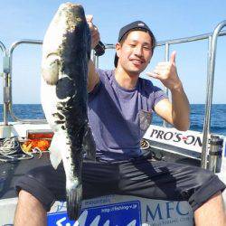 MSC 釣果