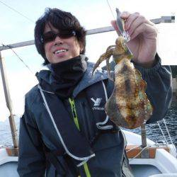 遊漁船 幸友丸 釣果