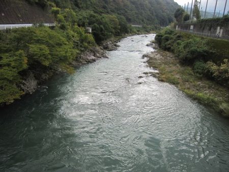 狩野川(狩野川漁業協同組合) 釣果