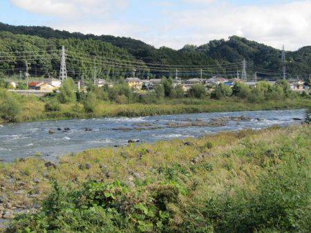 狩野川(狩野川漁業協同組合) 釣果