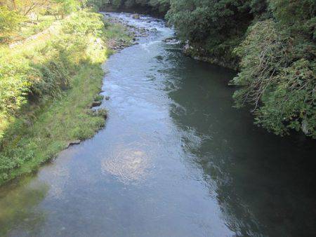 狩野川(狩野川漁業協同組合) 釣果