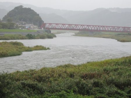 狩野川（狩野川漁業協同組合） 釣果