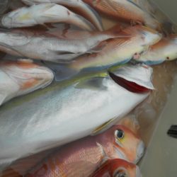 こうゆう丸 釣果