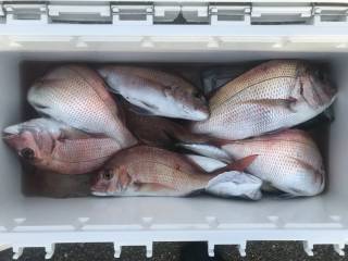 なかくに丸 釣果