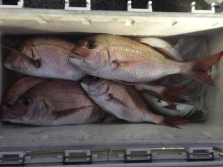 なかくに丸 釣果