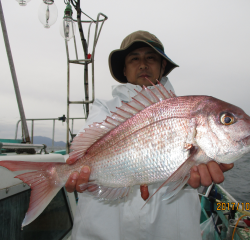 なかくに丸 釣果