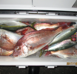 なかくに丸 釣果