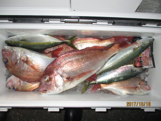 なかくに丸 釣果