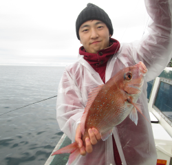 なかくに丸 釣果