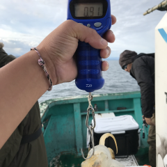 なかくに丸 釣果