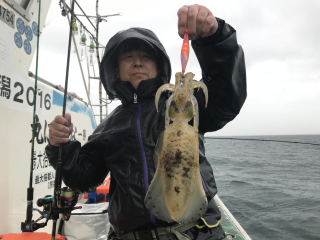 なかくに丸 釣果