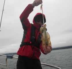 なかくに丸 釣果