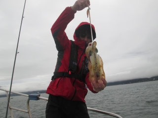 なかくに丸 釣果