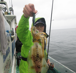 なかくに丸 釣果