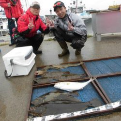 大進丸（愛知） 釣果