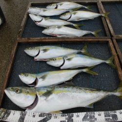 大進丸（愛知） 釣果