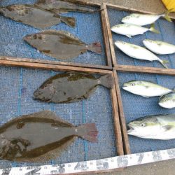 大進丸（愛知） 釣果