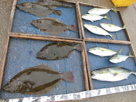 大進丸（愛知） 釣果