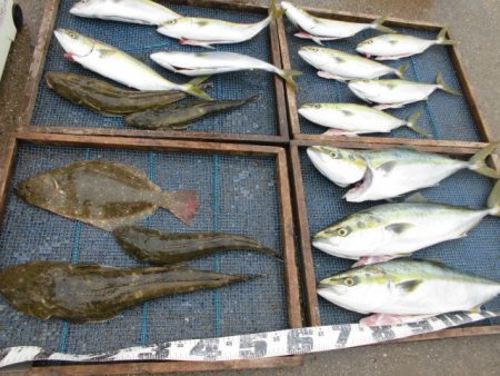 大進丸（愛知） 釣果