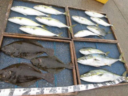 大進丸（愛知） 釣果