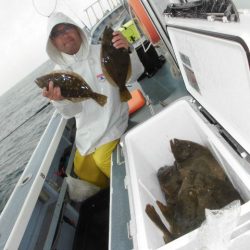 大進丸（愛知） 釣果