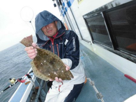 大進丸（愛知） 釣果