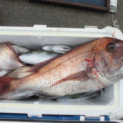 大進丸（愛知） 釣果