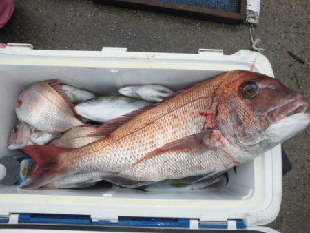 大進丸（愛知） 釣果