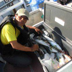 大進丸（愛知） 釣果