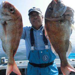 大進丸（愛知） 釣果