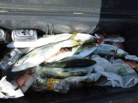 大進丸（愛知） 釣果