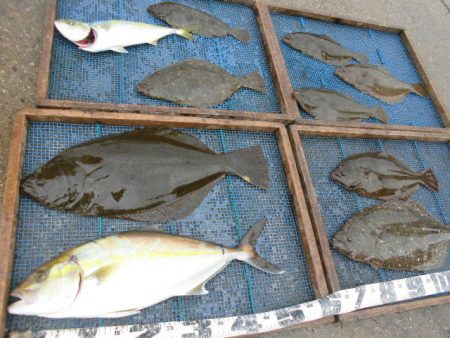 大進丸（愛知） 釣果