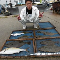 大進丸（愛知） 釣果