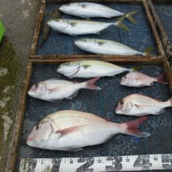 大進丸（愛知） 釣果