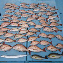 十八宝洋丸 釣果