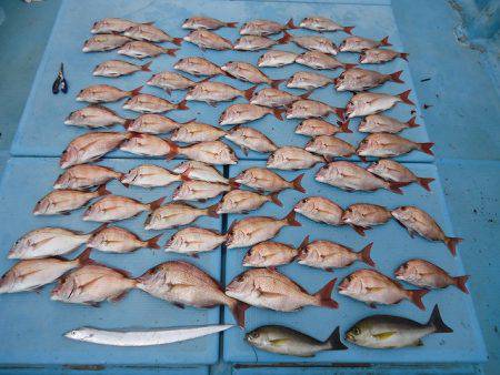 十八宝洋丸 釣果