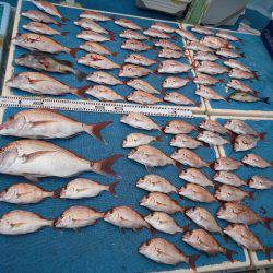 十八宝洋丸 釣果