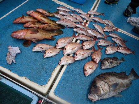 十八宝洋丸 釣果