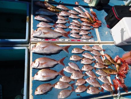 十八宝洋丸 釣果